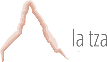 Hotel Aiguille de la tza